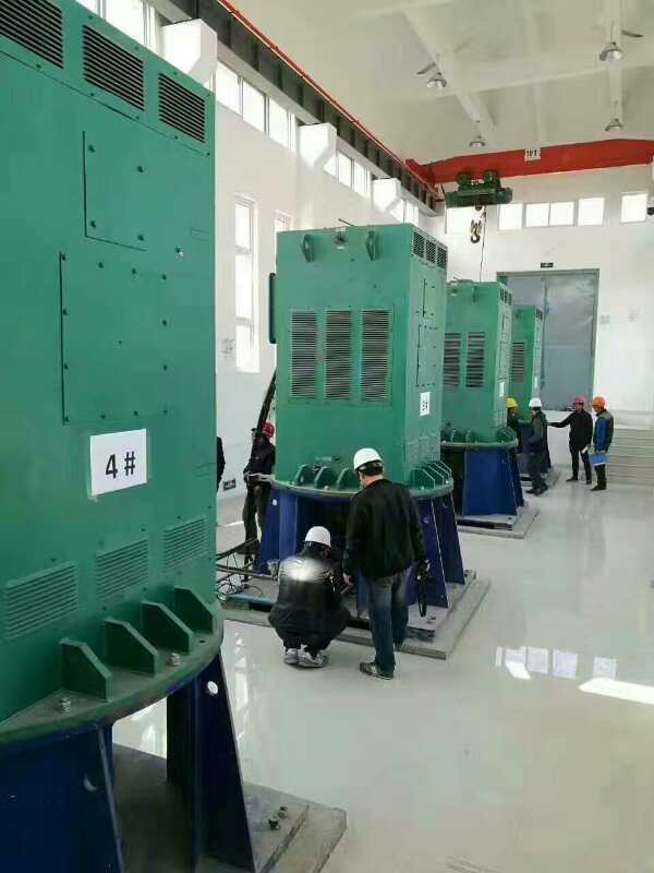 淮阴某污水处理厂使用我厂的立式高压电机安装现场